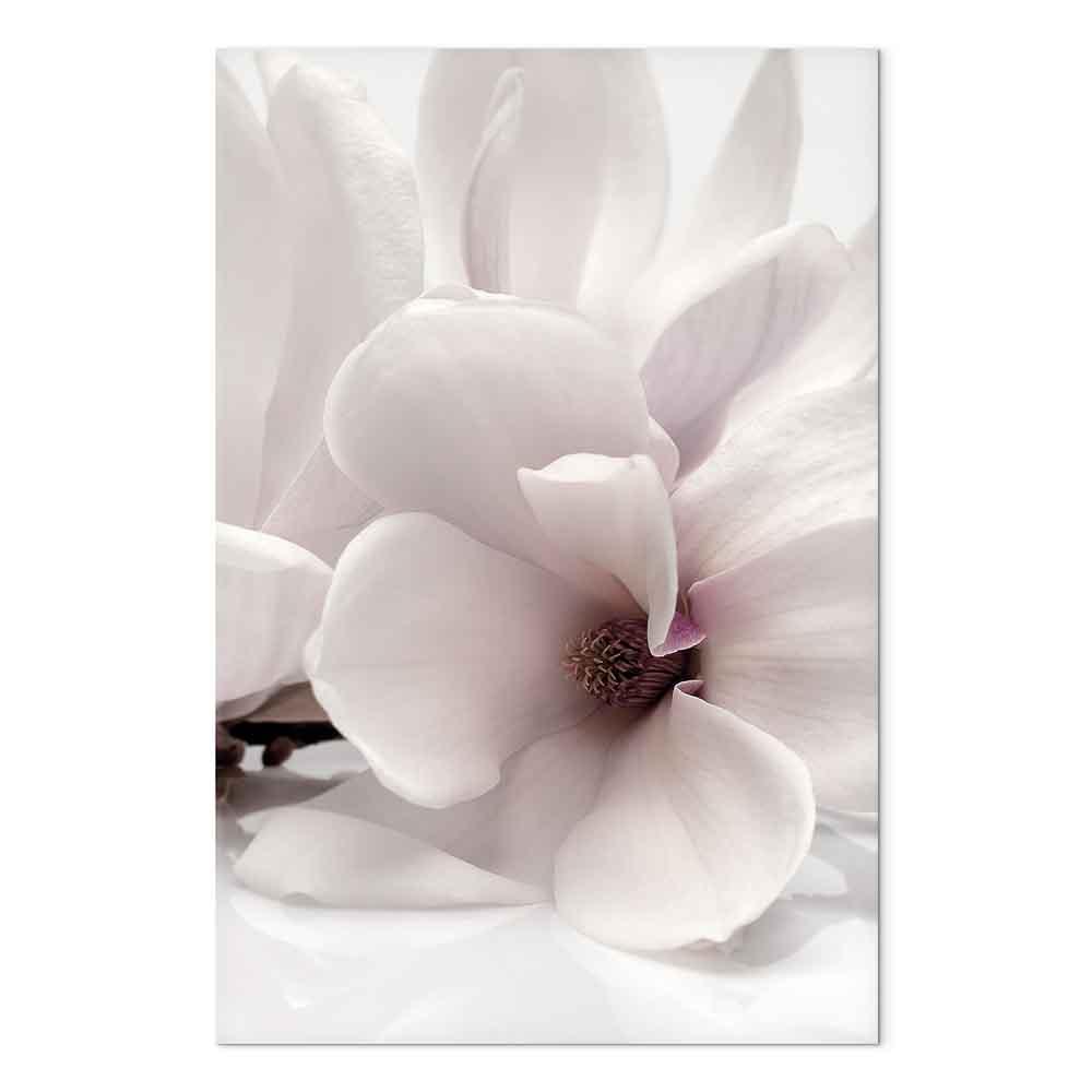 Lærredsbillede Blooming Light lodret med magnolia - 40 x 60 cm - Standard