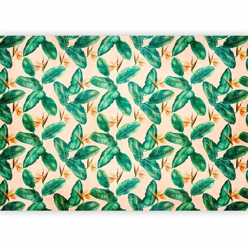 Fototapet Peace of Wild Bushes - anden variant med tropiske blade
