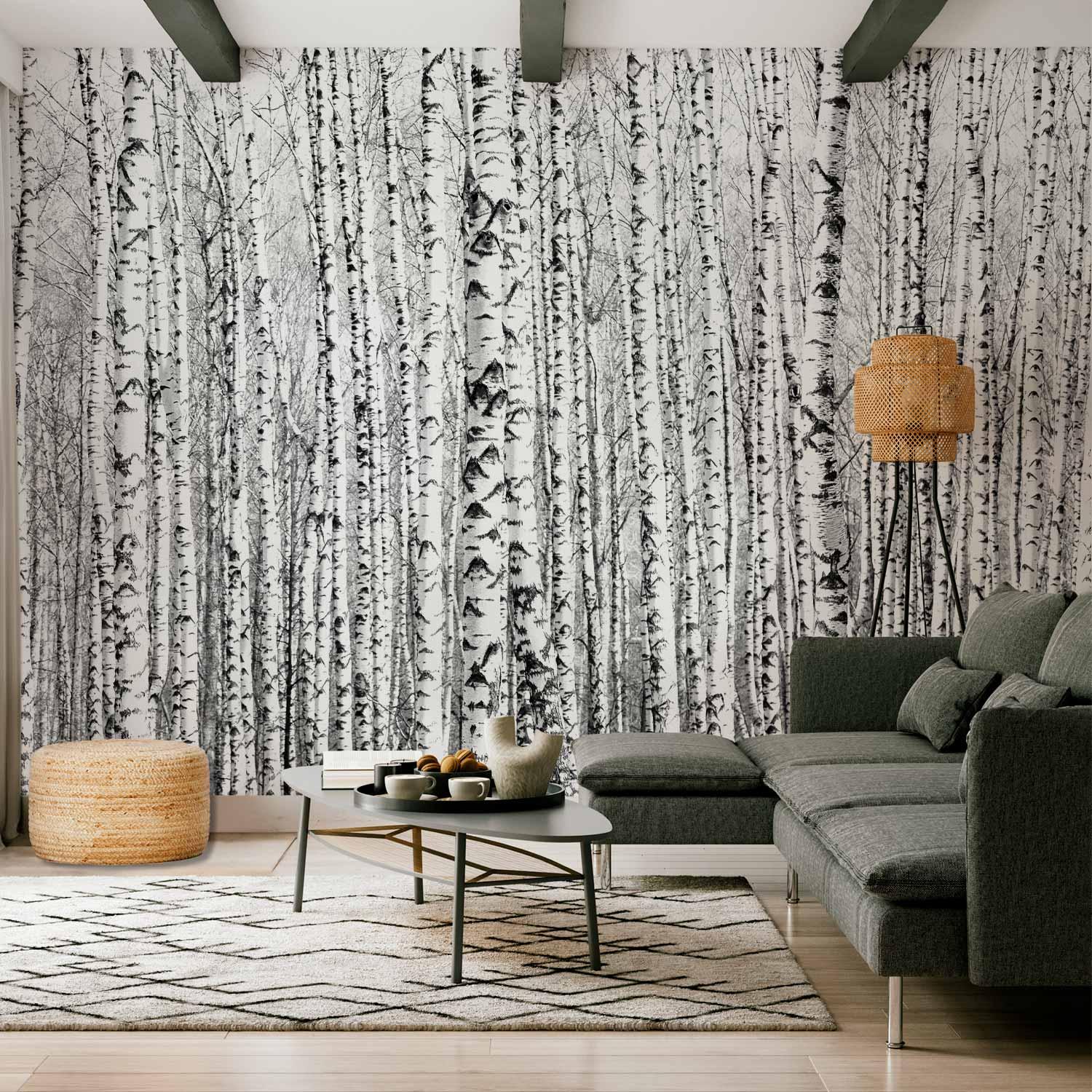 Fototapet Birkeskov til væg - 400 x 280 cm - Standard