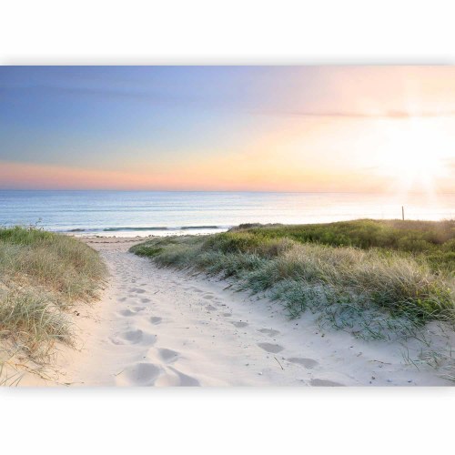 Fototapet Morgentur på stranden