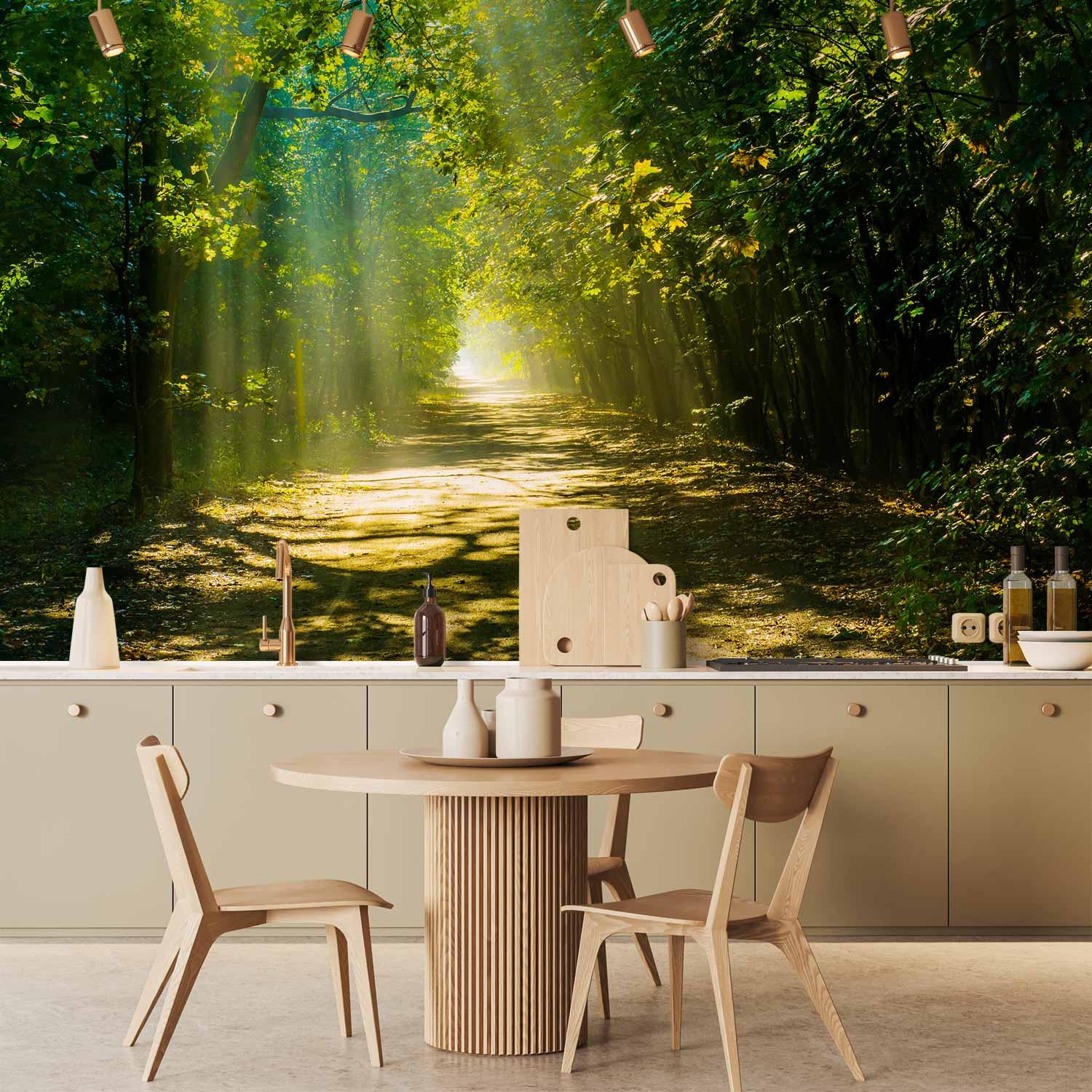 Fototapet Skovvej i Sollys - 400 x 280 cm - Vandtæt