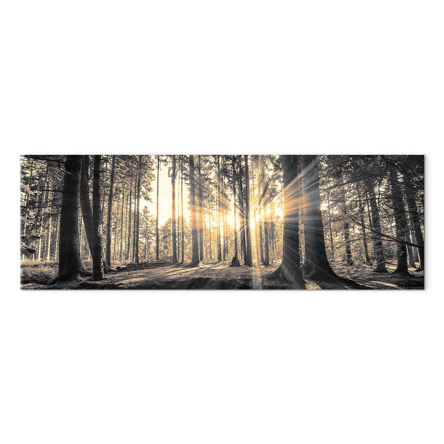 Lærredsbillede Forest Sun med skovmotiv - 120 x 40 cm - Standard