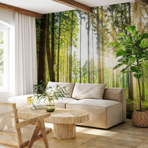 Fototapet Forest Tales med skovmotiv
