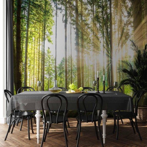 Fototapet Forest Tales med skovmotiv