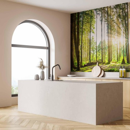 Fototapet Forest Tales med skovmotiv