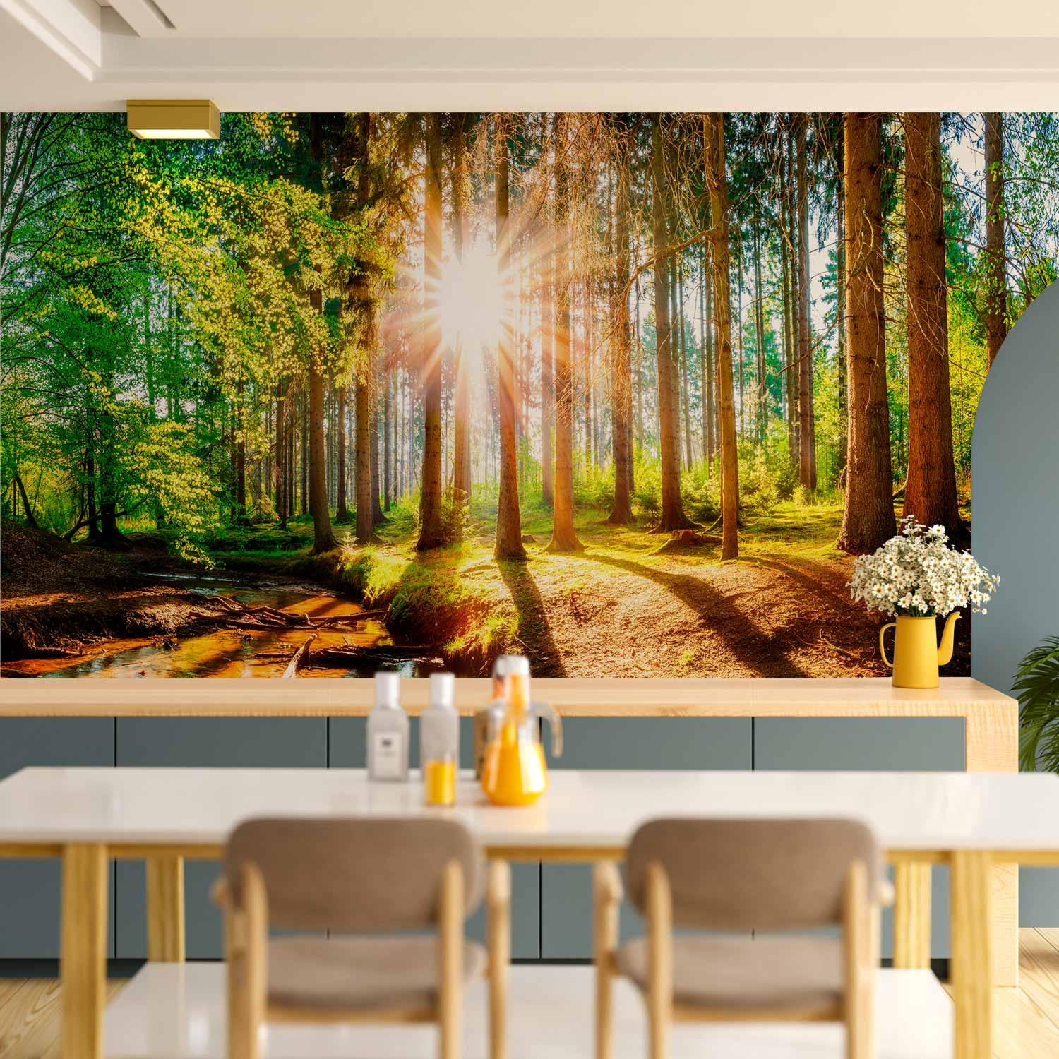 Fototapet Vidunderlig skov - fotovæg med skovmotiv, træer og sollys - 500 x 350 cm - Vandtæt