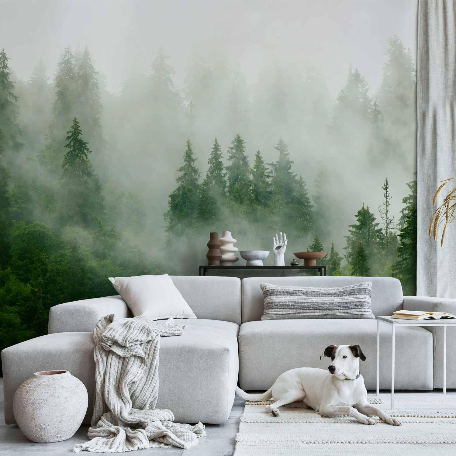 Fototapet - Bjergskov (Grøn) med tåget skovmotiv til væg - 500 x 350 cm - Premium