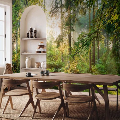 Fototapet Untamed Nature med skovmotiv