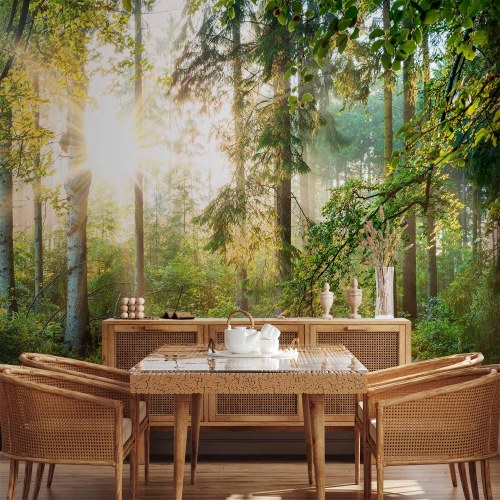 Fototapet Untamed Nature med skovmotiv