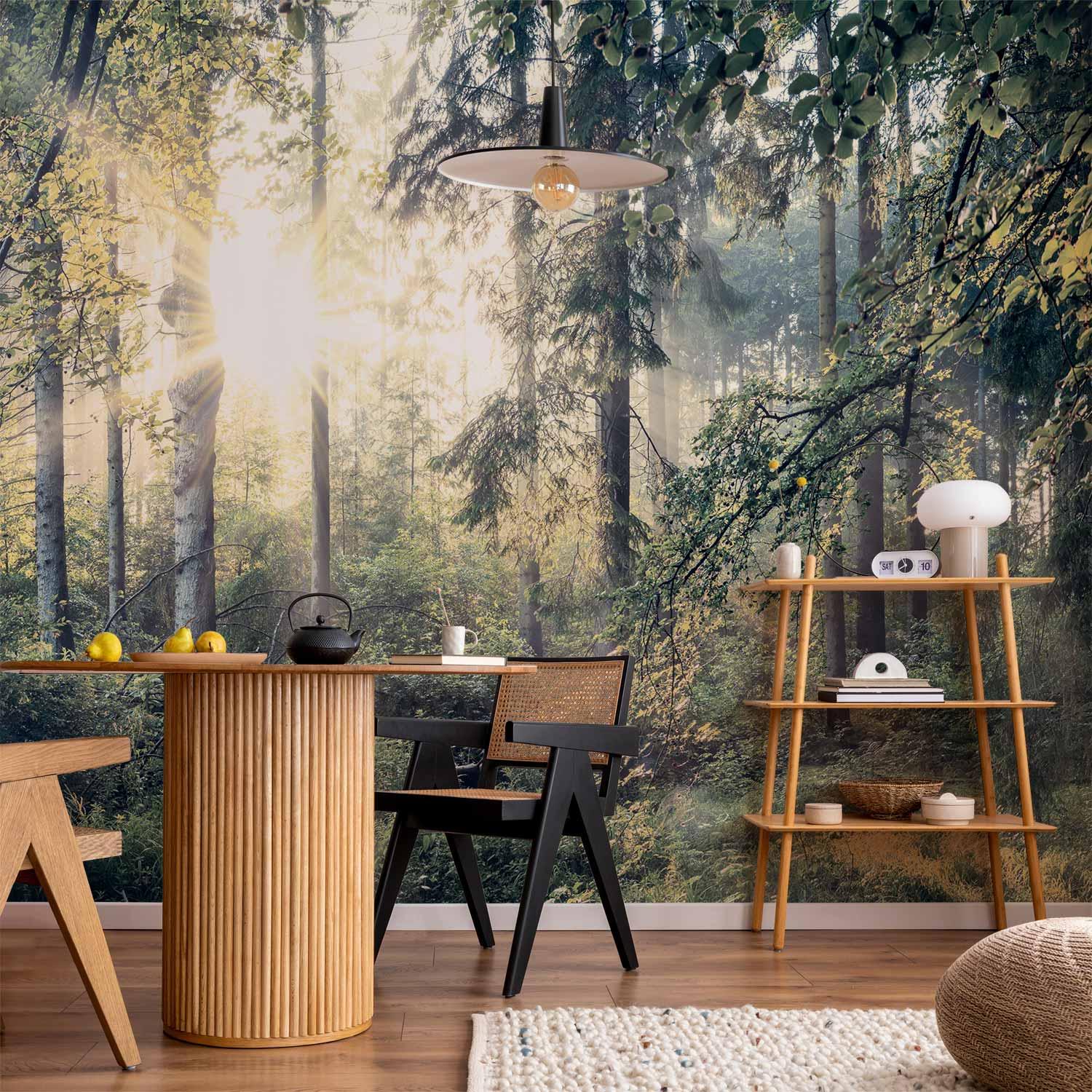 Fototapet - Fortællinger fra en skov med sollys og træer - 400 x 280 cm - Vandtæt
