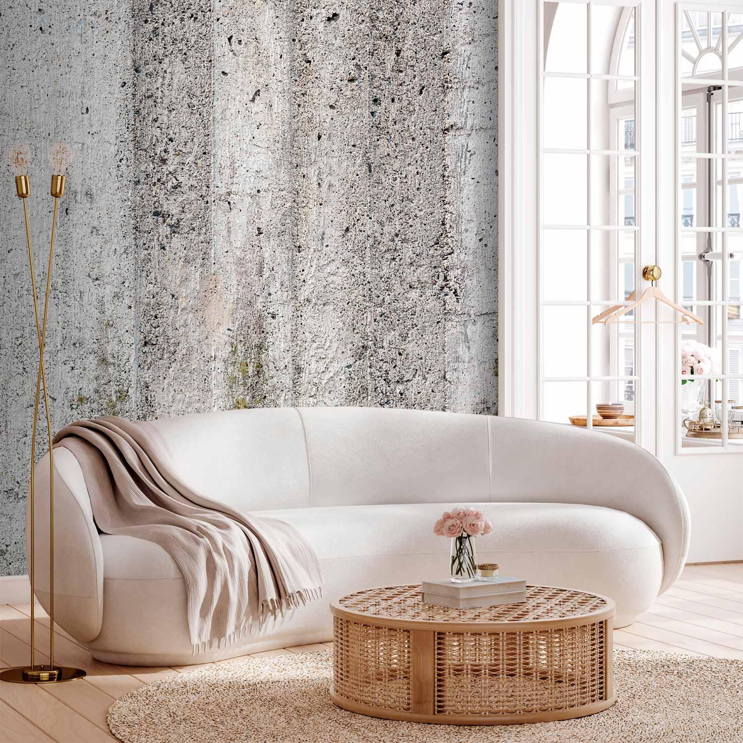 Fototapet - Grå Kejser med betonlook og grå struktur til væg - 300 x 210 cm - Standard