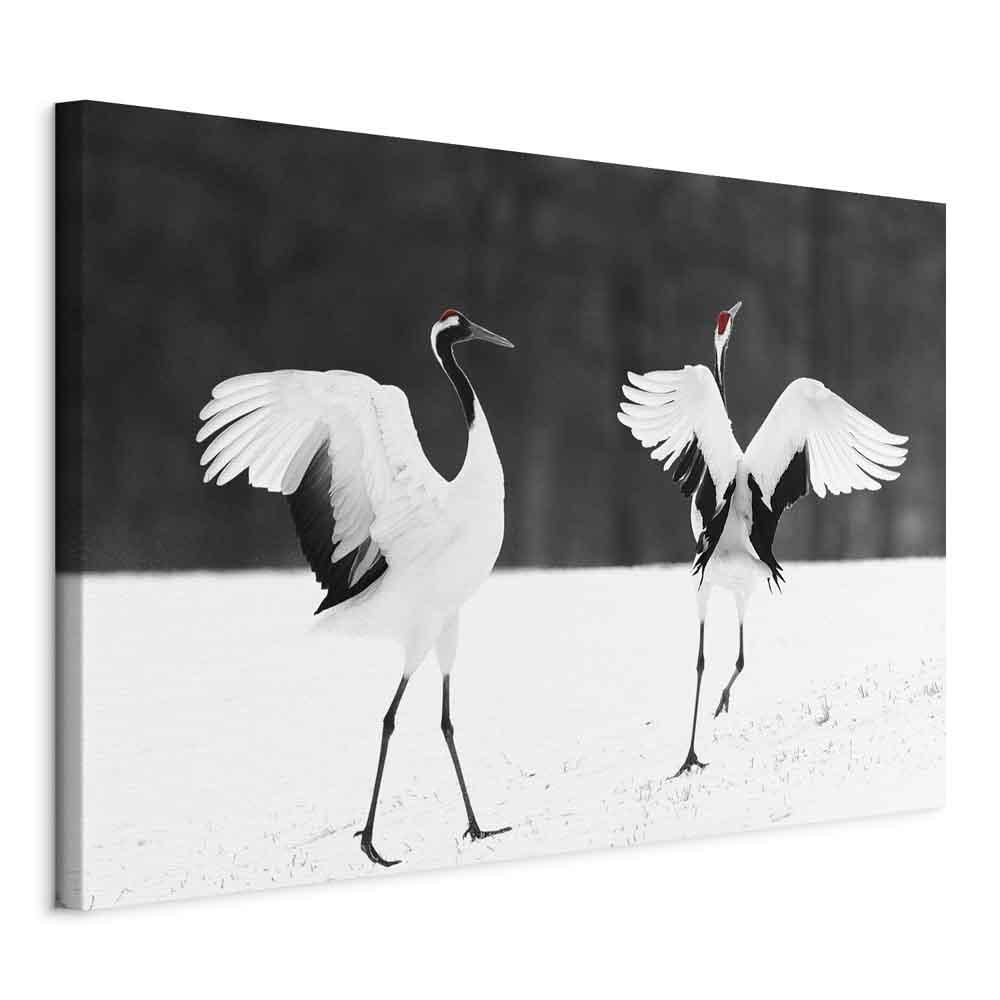 Lærredsbillede Dansende traner i bredformat - sort-hvid vægdekoration med fuglemotiv - 90 x 60 cm - Standard