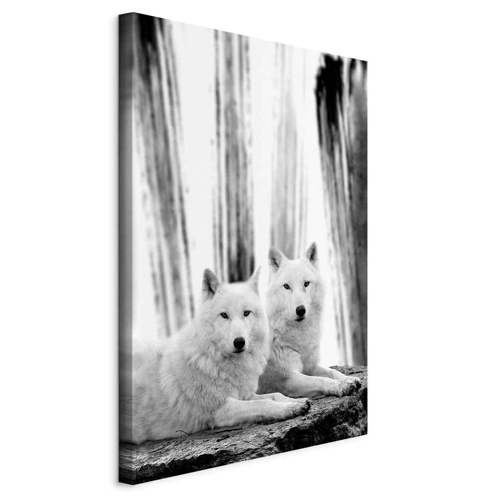 Lærredsbillede Forest Love lodret med hvide ulve - 40 x 60 cm - Standard