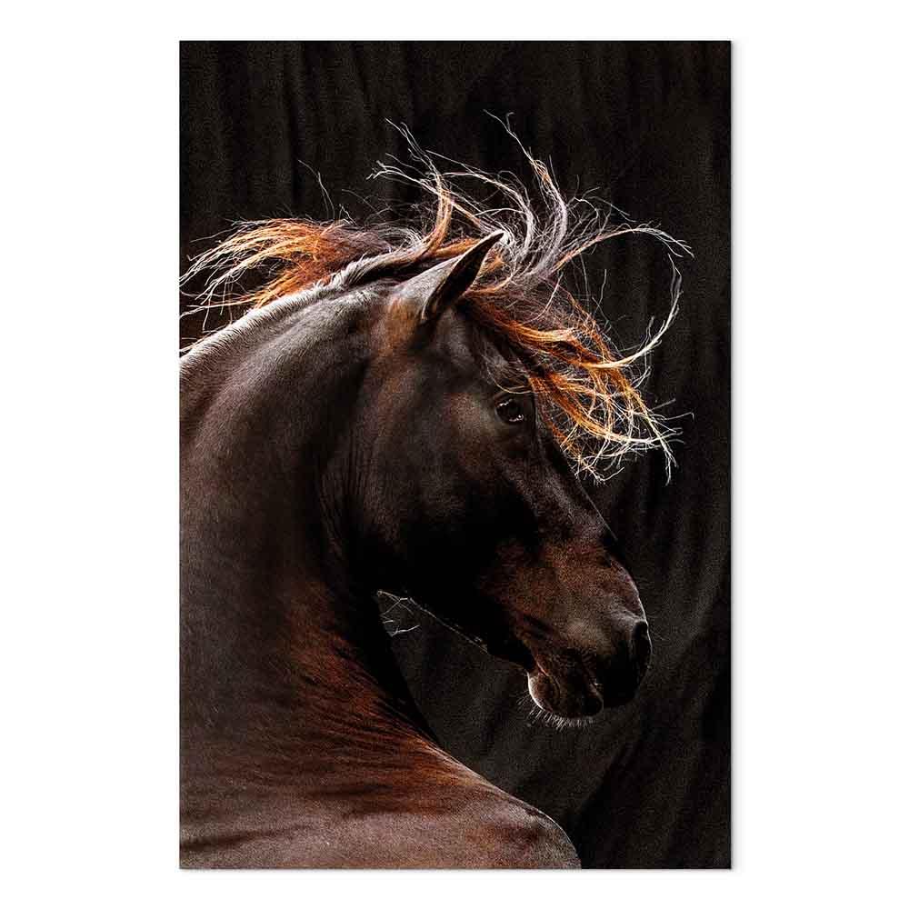 Billede på lærred Fiery Wind - vertikalt vægbillede med hestemotiv - 40 x 60 cm - Akustisk