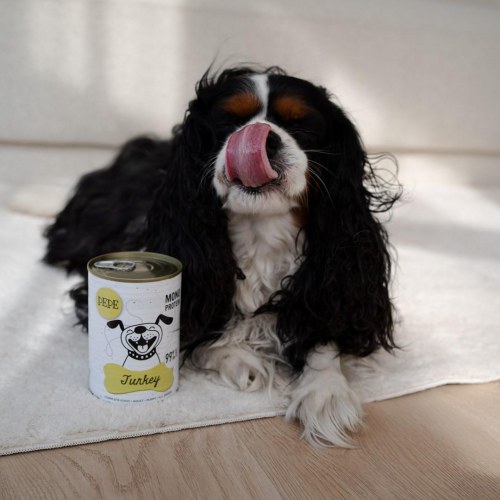 PAKA ZWIERZAKA PEPE Kalkun monoprotein vådfoder til hund 400 g