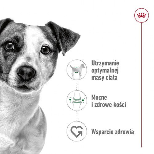 Vådfoder til hund Royal Canin Mini Adult - 12 x 85 g
