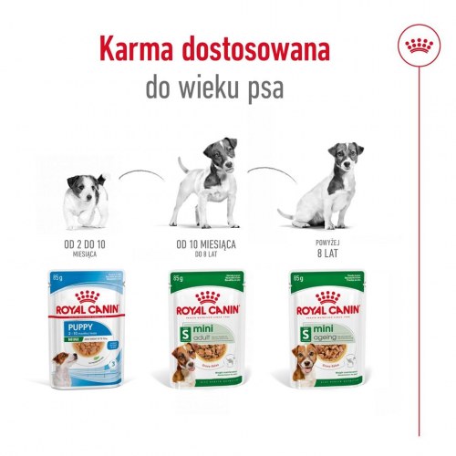 Vådfoder til hund Royal Canin Mini Adult - 12 x 85 g