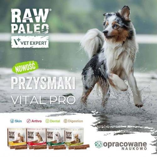 Hundegodbid VetExpert Raw Paleo Vital Pro Arthro Beef Medium & Large Adult - 100 g