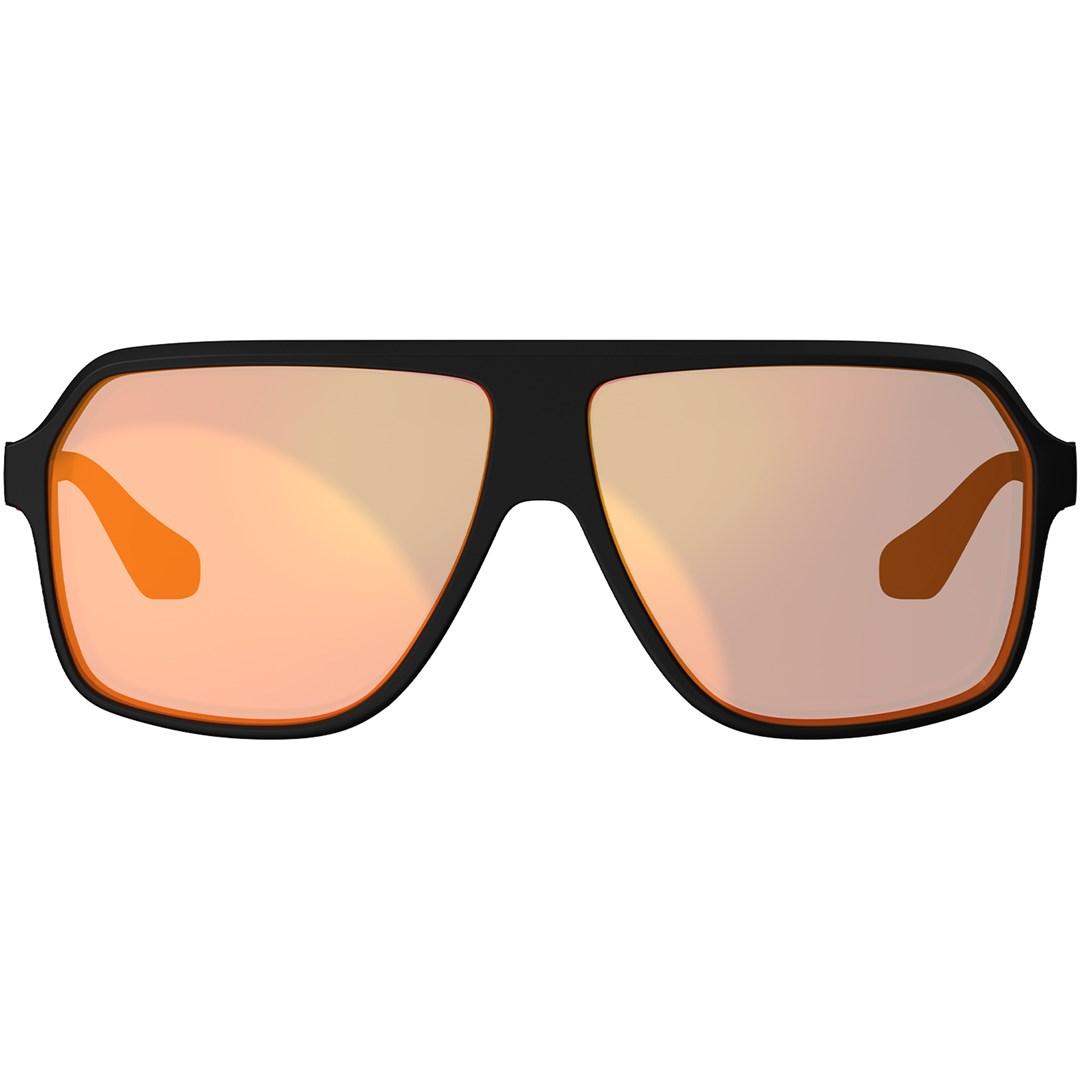 Cykelbriller Leatt TheViz Andes Polarized - one size
