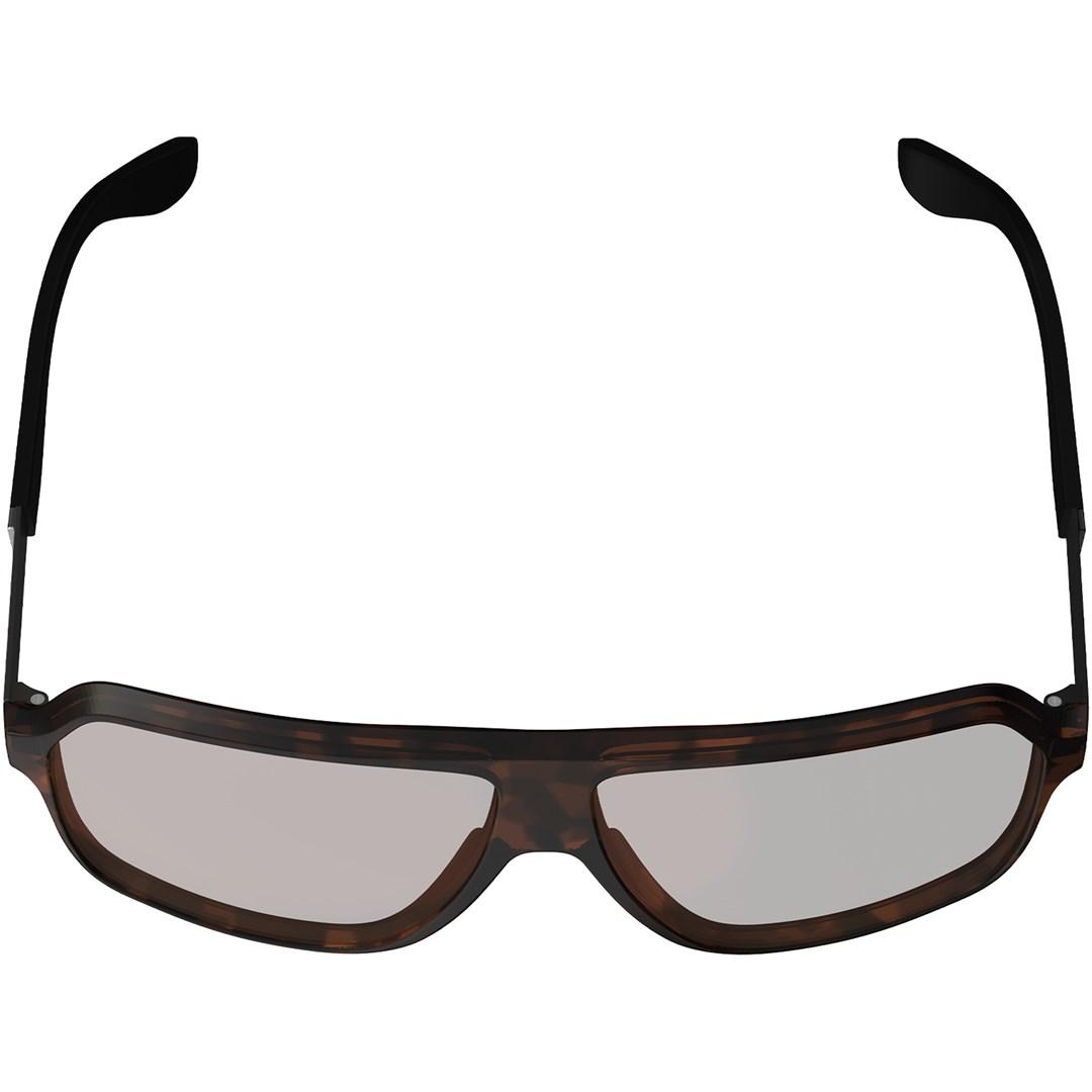 Cykelbriller Leatt TheViz Andes Polarized - one size