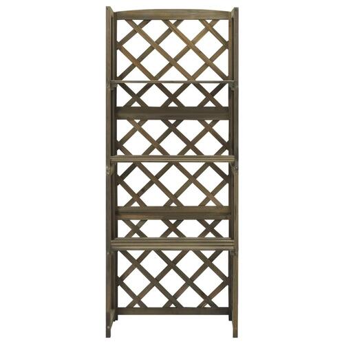 Espalier med hylder 55x30x140 cm massivt grantræ grå