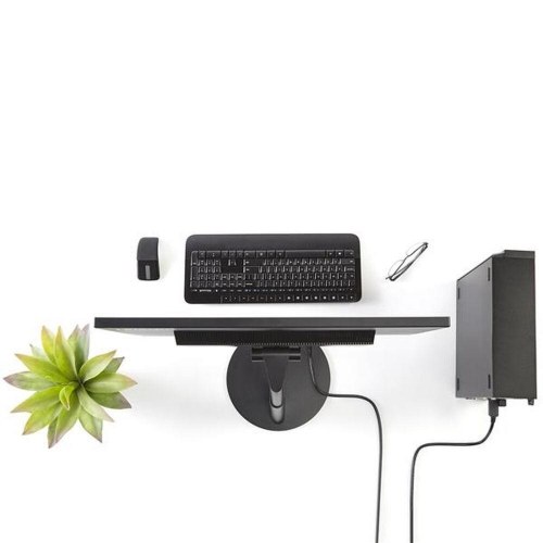 DisplayPort kabel til DVI Startech - 1,8 m, sort