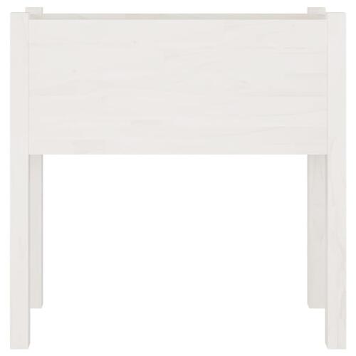 Plantekasse 70x31x70 cm massivt fyrretræ hvid