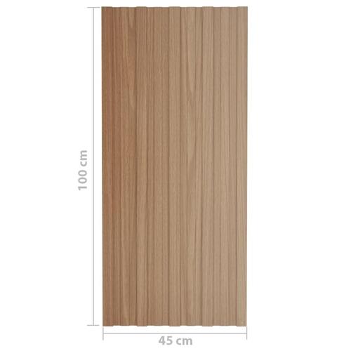 Tagplader 12 stk. 100x45 cm galvaniseret stål lyst træ