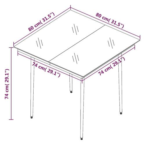 Havebord 80x80x74 cm stål og glas sort