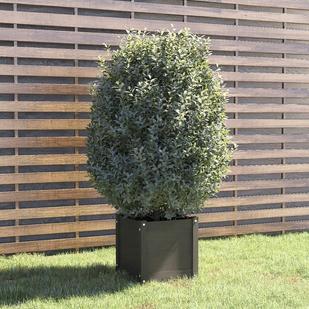 Plantekasse 40x40x40 cm massivt fyrretræ grå