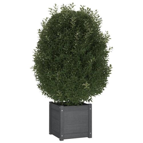 Plantekasse 40x40x40 cm massivt fyrretræ grå