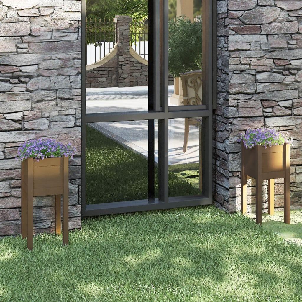 Plantekasser 2 stk. 31x31x70 cm massivt fyrretræ gyldenbrun