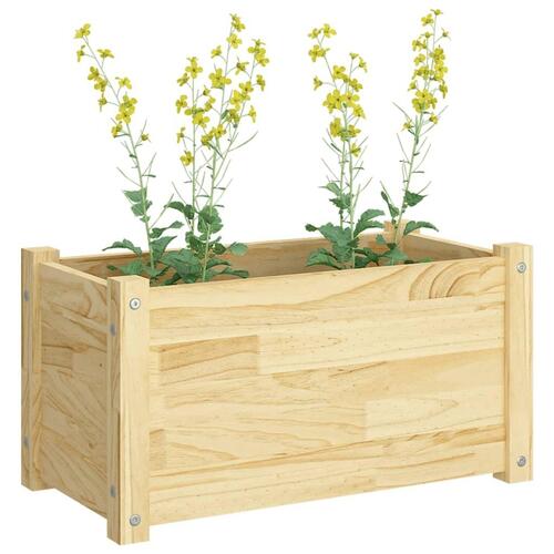Plantekasse 60x31x31 cm massivt fyrretræ