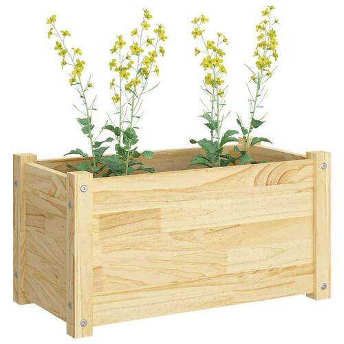 Plantekasser 2 stk. 60x31x31 cm massivt fyrretræ
