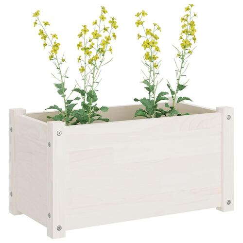 Plantekasse 60x31x31 cm massivt fyrretræ hvid