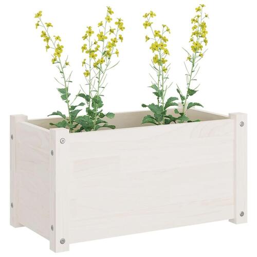 Plantekasser 2 stk. 60x31x31 cm massivt fyrretræ hvid