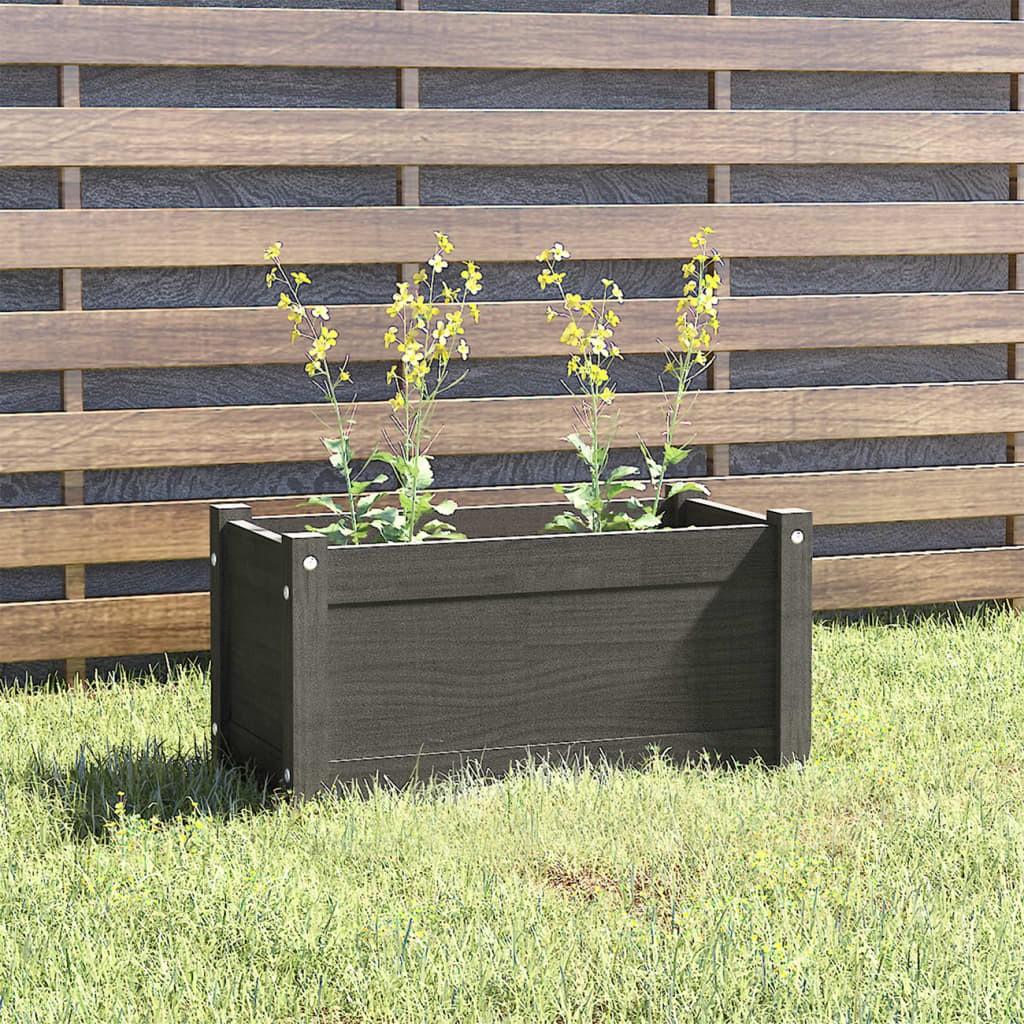 Plantekasse 60x31x31 cm massivt fyrretræ grå