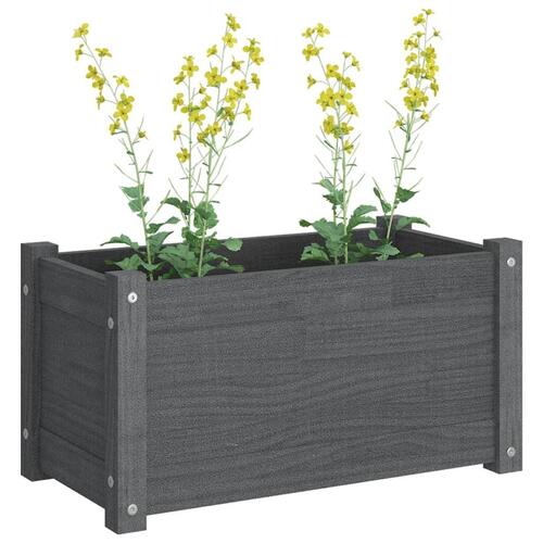 Plantekasse 60x31x31 cm massivt fyrretræ grå