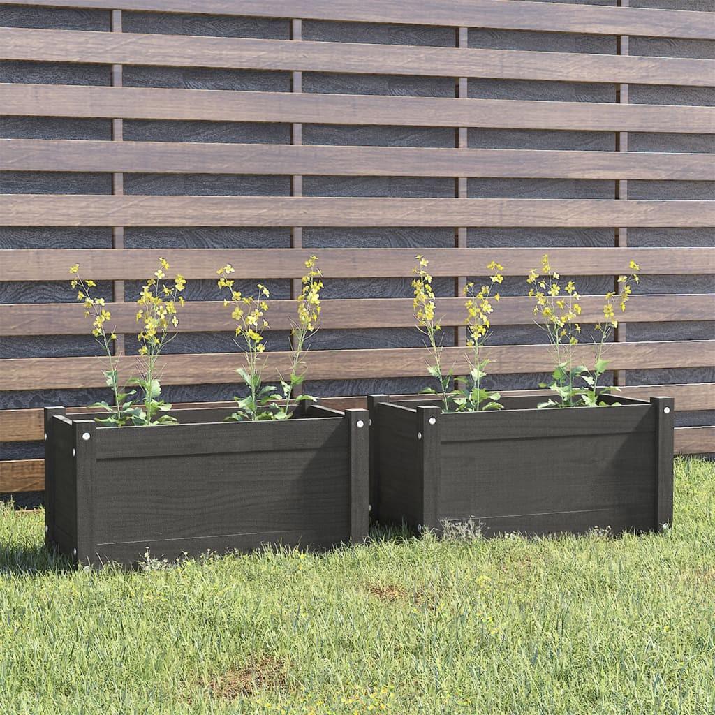 Plantekasser 2 stk. 60x31x31 cm massivt fyrretræ grå