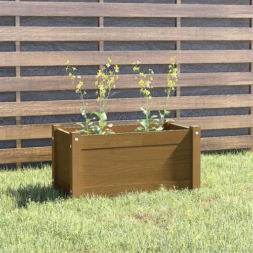 Plantekasse 60x31x31 cm massivt fyrretræ gyldenbrun