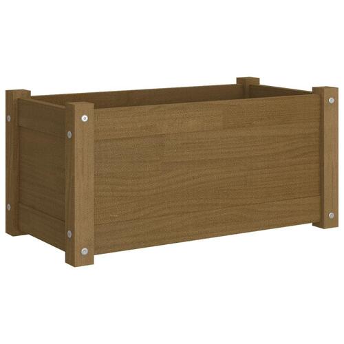 Plantekasse 60x31x31 cm massivt fyrretræ gyldenbrun