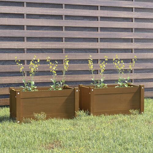 Plantekasser 2 stk. 60x31x31 cm massivt fyrretræ gyldenbrun