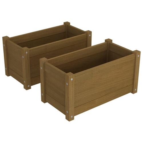 Plantekasser 2 stk. 60x31x31 cm massivt fyrretræ gyldenbrun