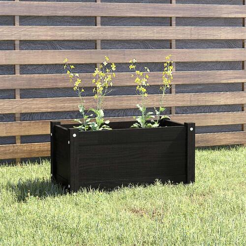 Plantekasse 60x31x31 cm massivt fyrretræ sort