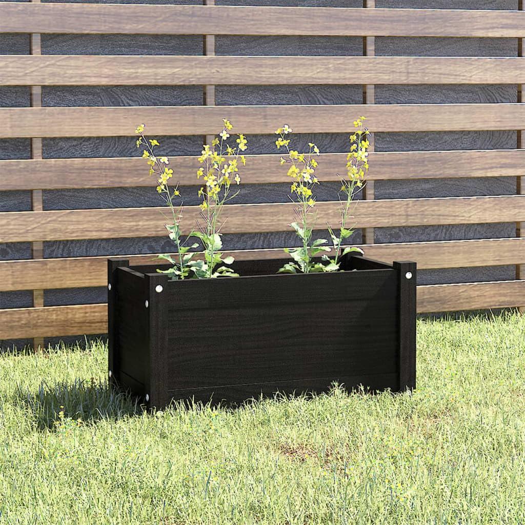 Plantekasse 60x31x31 cm massivt fyrretræ sort