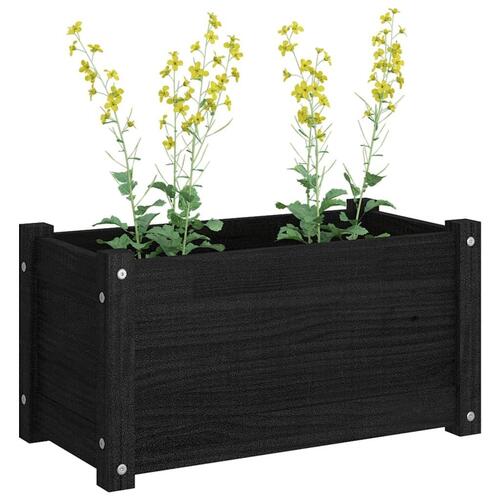 Plantekasse 60x31x31 cm massivt fyrretræ sort