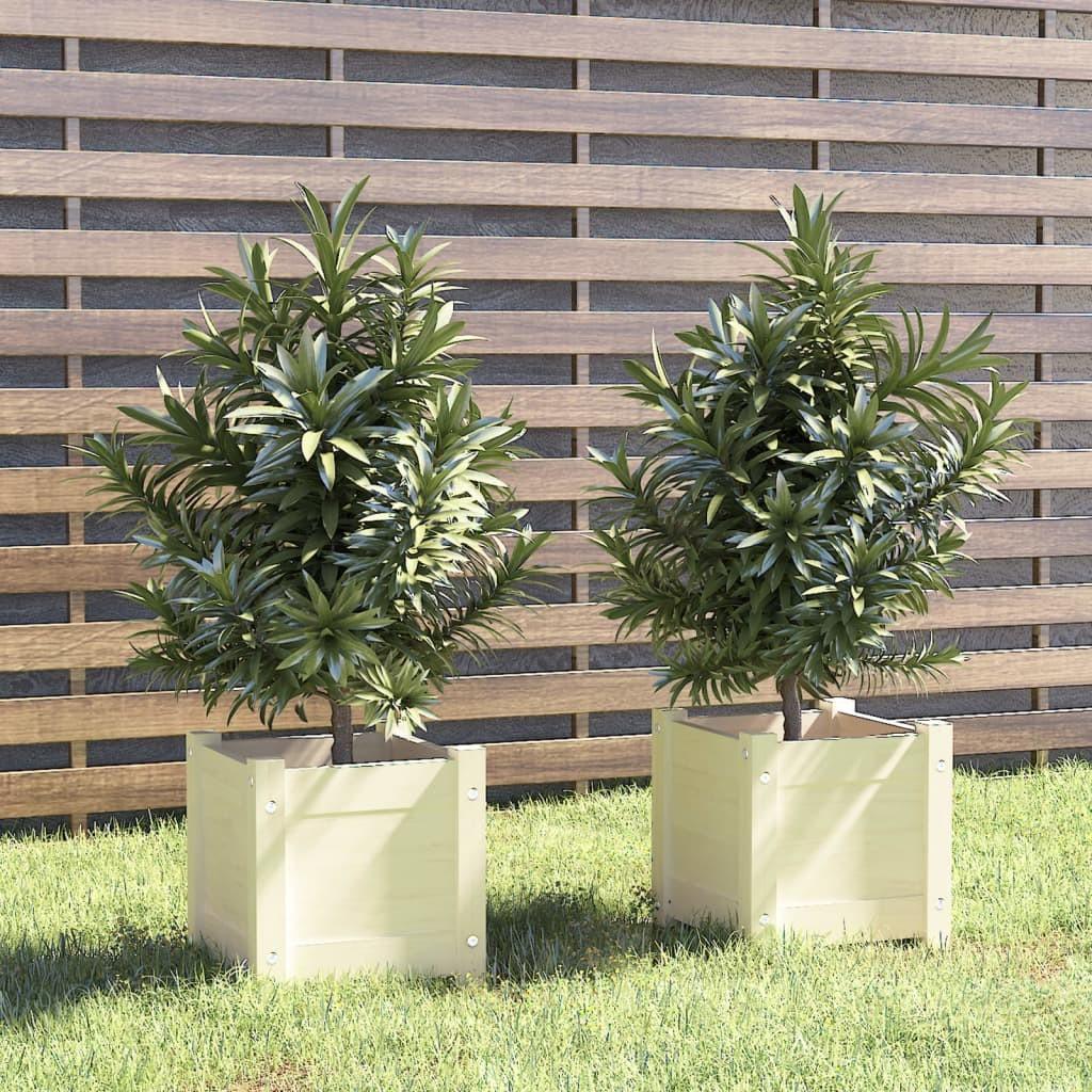 Plantekasser 2 stk. 31x31x31 cm massivt fyrretræ hvid