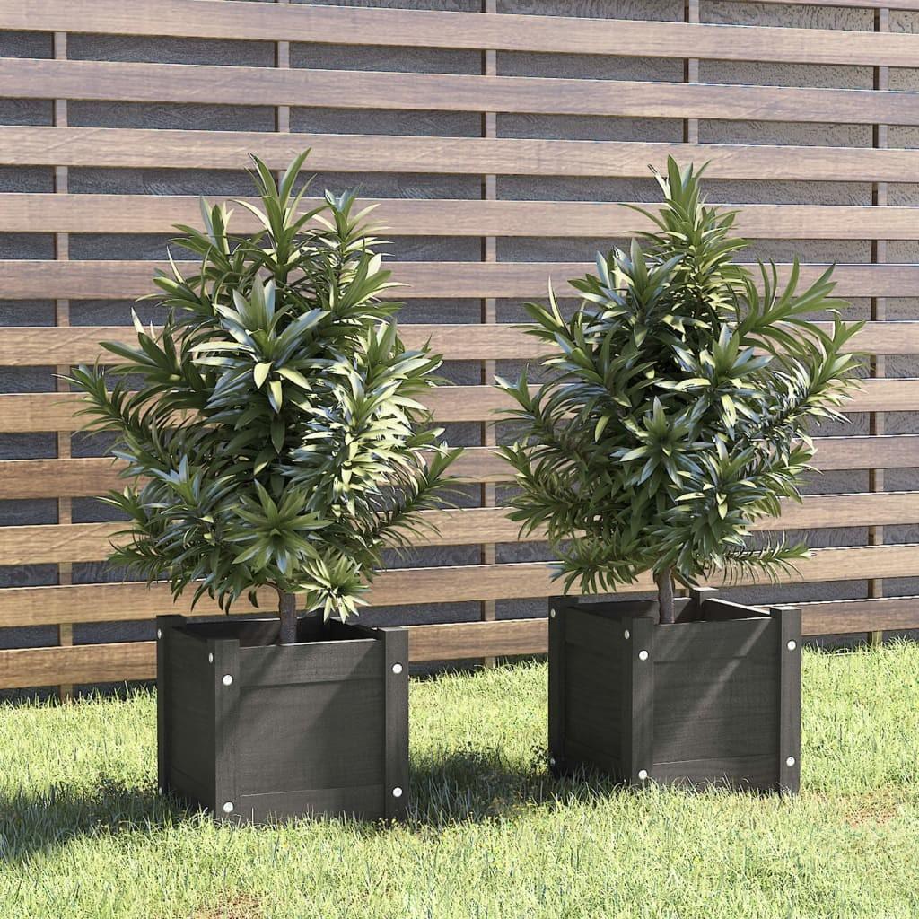 Plantekasser 2 stk. 31x31x31 cm massivt fyrretræ grå