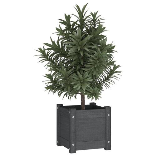 Plantekasser 2 stk. 31x31x31 cm massivt fyrretræ grå