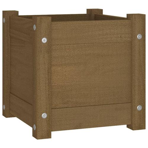 Plantekasser 2 stk. 31x31x31 cm massivt fyrretræ gyldenbrun